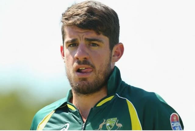 The Moises Henriques Chapter : Domestic & International Career, Facts & Figure