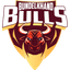 Bundelkhand Bulls