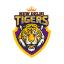 New Delhi Tigers
