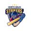 North Delhi Strikers
