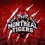Montreal Royal Tiger