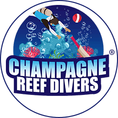 Champagne Reef Divers