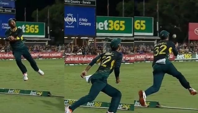AUS vs SA: Glenn Maxwell steals the spotlight with a stunning boundary catch in T20I opener