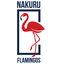 Nakuru Flamingo