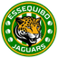 Essequibo Jaguars